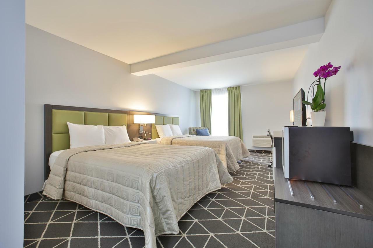 King Hotel Palmerston Extérieur photo
